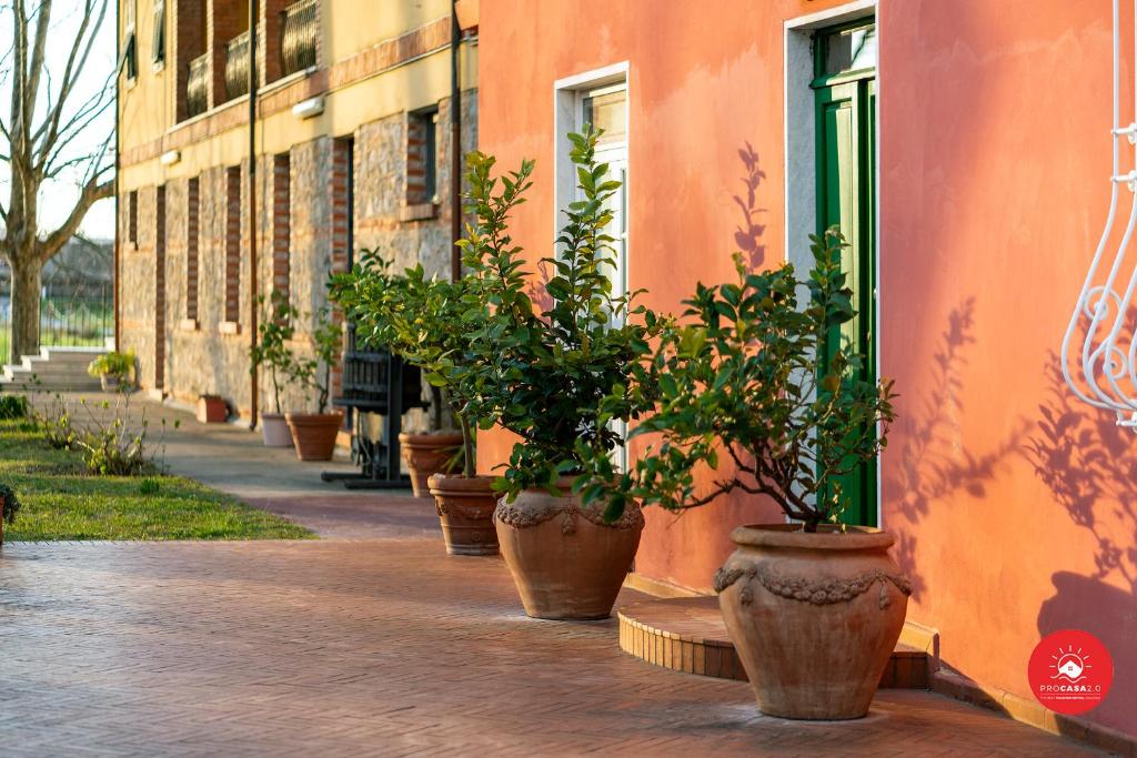Fattoria Battilana room 2